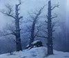 Dolmen in the Snow