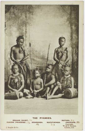 The Pygmies