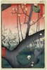 Plum State, Kameido, from the series One Hundred Famous Views of Edo