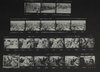 Contact sheet showing prisoners detained at the stadium, Santiago, Chile, September 1973.; Reproduced in American Photographer, December 1979, p. 56-57.