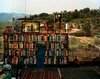 View of Landscape Outside Florence in Room with Bookcase