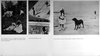 Pages 74 and 75 in The Photographer's Eye depicting Theodore Roosevelt Playing Ball with Children at Sagamore; Billboard; Simone Roussel on Beach at Villerville
