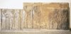 Darius and Xerxes Receiving Tribute; Darius and Kerkes Giving Audience; Relief, stairway leading to the Apadana, Persepolis
