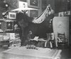 William Merritt Chase in His Tenth Street Studio