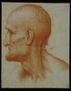 Copy of Study of a Head of Leonardo (RL12549)