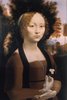 Computer Reconstruction of Portrait of Ginevra de'Benci ; Portrait of Ginevra de'Benci