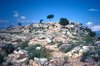 Mycenae; Lion Gate; Shaft Graves; Cyclopean Walls