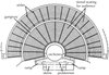 Plan of the Theater, Epidauros