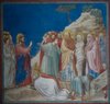 Raising of Lazarus; North Wall; Arena Chapel