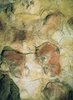 Bison, on the Ceiling of a Cave at Altamira