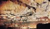 Wall Painting with Horses, Rhinoceroses, and Aurochs, Chauvet Cave; Aurochs, Horses, and Rhinoceroses