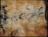 Lions and Bison, End Chamber Chauvet Cave