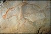Bear, Recess of the Bears, Chauvet Cave