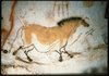 Chinese Horse, Lascaux Cave; Yellow Horse