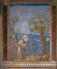 Saint Francis Preaching to the Birds, Fresco from Basilica of San Francesco, Assisi