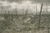 Caillette Forest, Battlefield Near Verdun, World War I