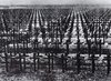 German Military Cemetery in France, World War I