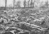 Dead German soldiers in Artois, World War I