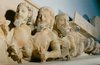 Three bodied, snaky-tailed monster; Pedimental sculpture; Hekatompedon; Temple of Athena; Sanctuary of Athena ; Acropolis